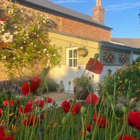 Penwyth House Bed and Breakfast New Quay Buitenkant foto