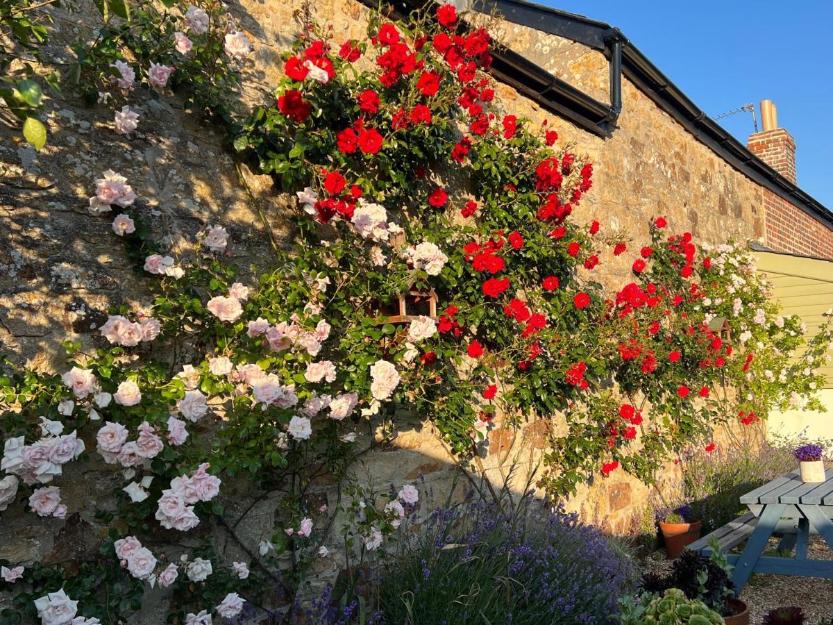 Penwyth House Bed and Breakfast New Quay Buitenkant foto