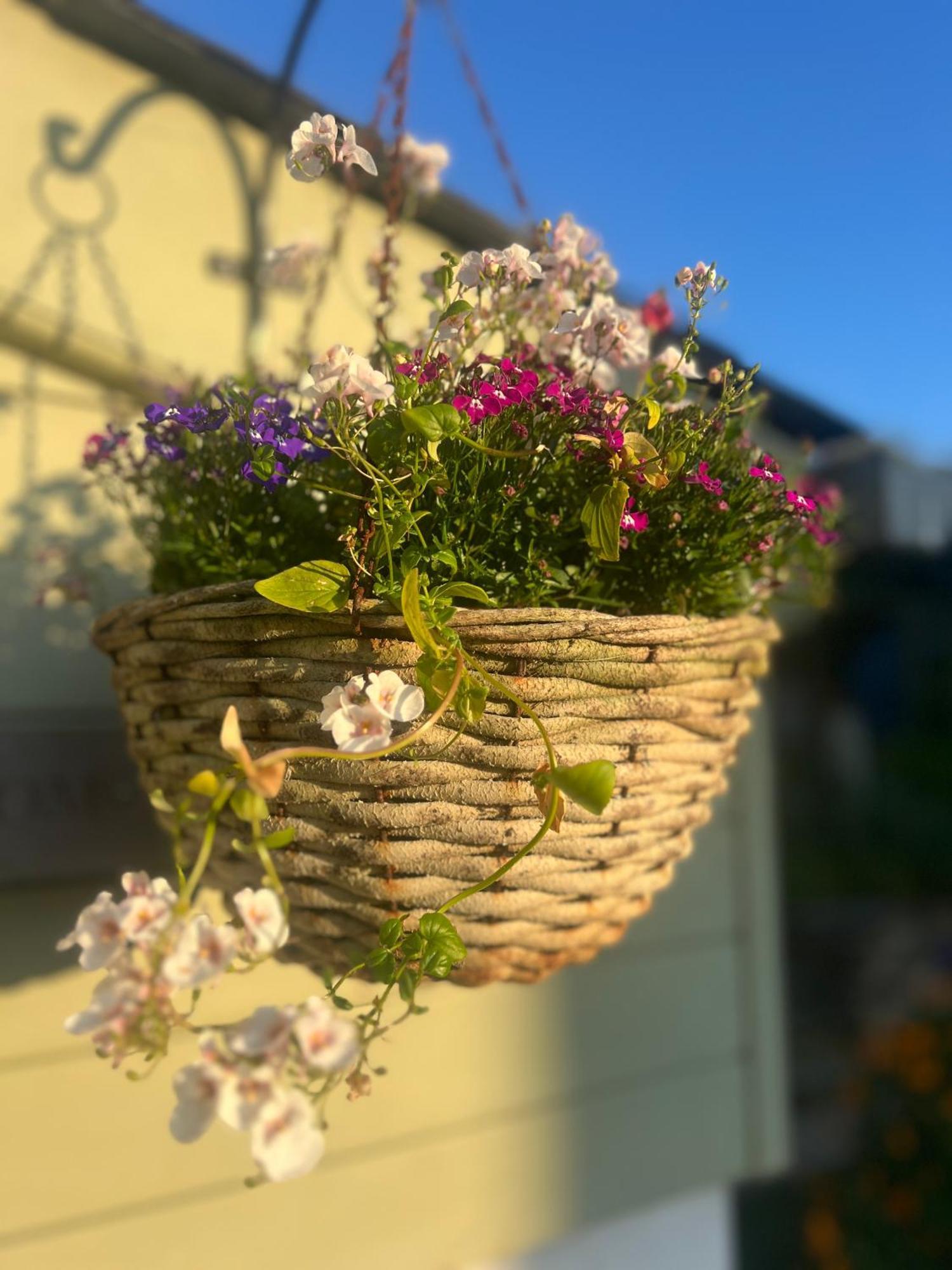 Penwyth House Bed and Breakfast New Quay Buitenkant foto