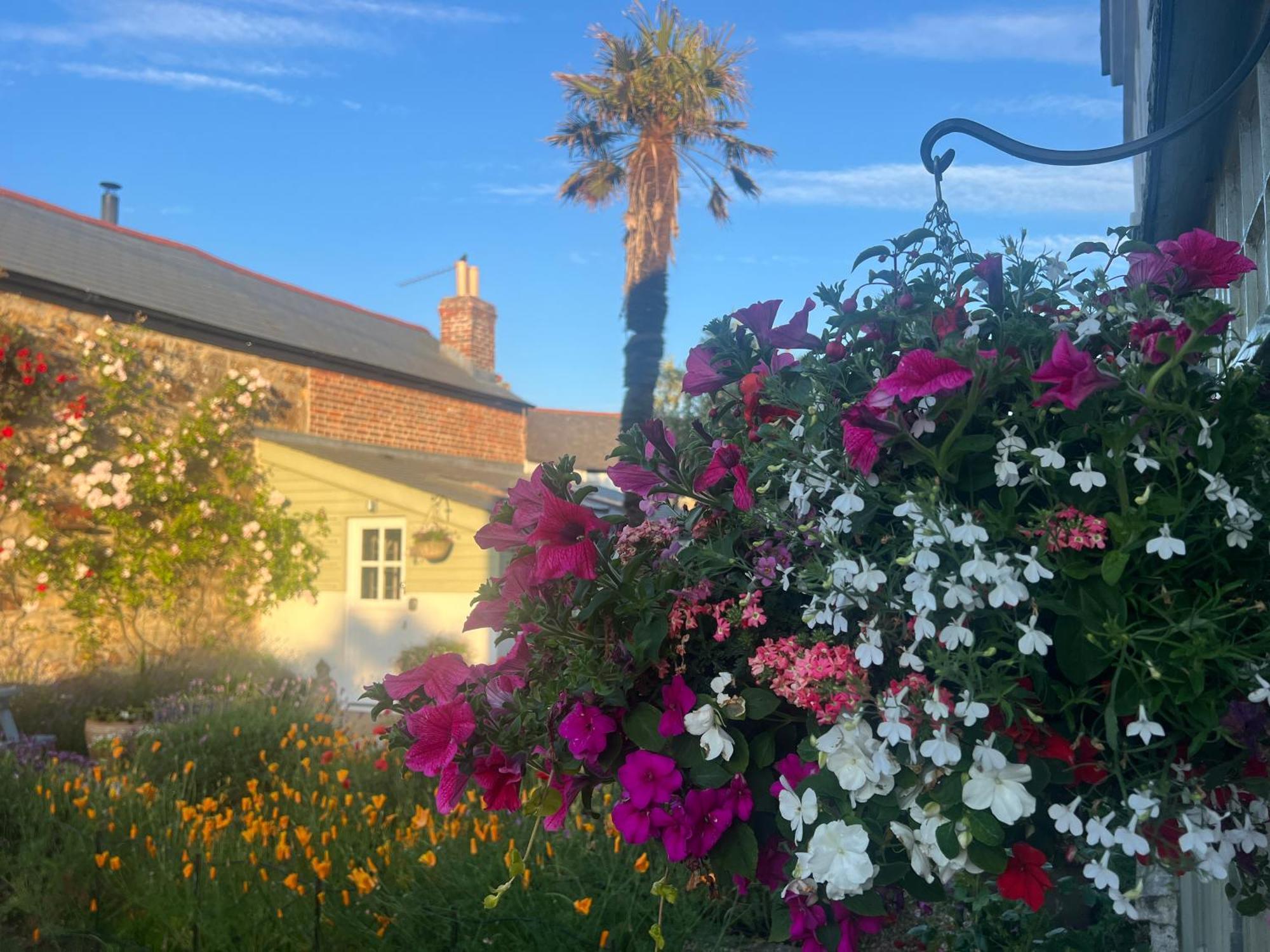 Penwyth House Bed and Breakfast New Quay Buitenkant foto