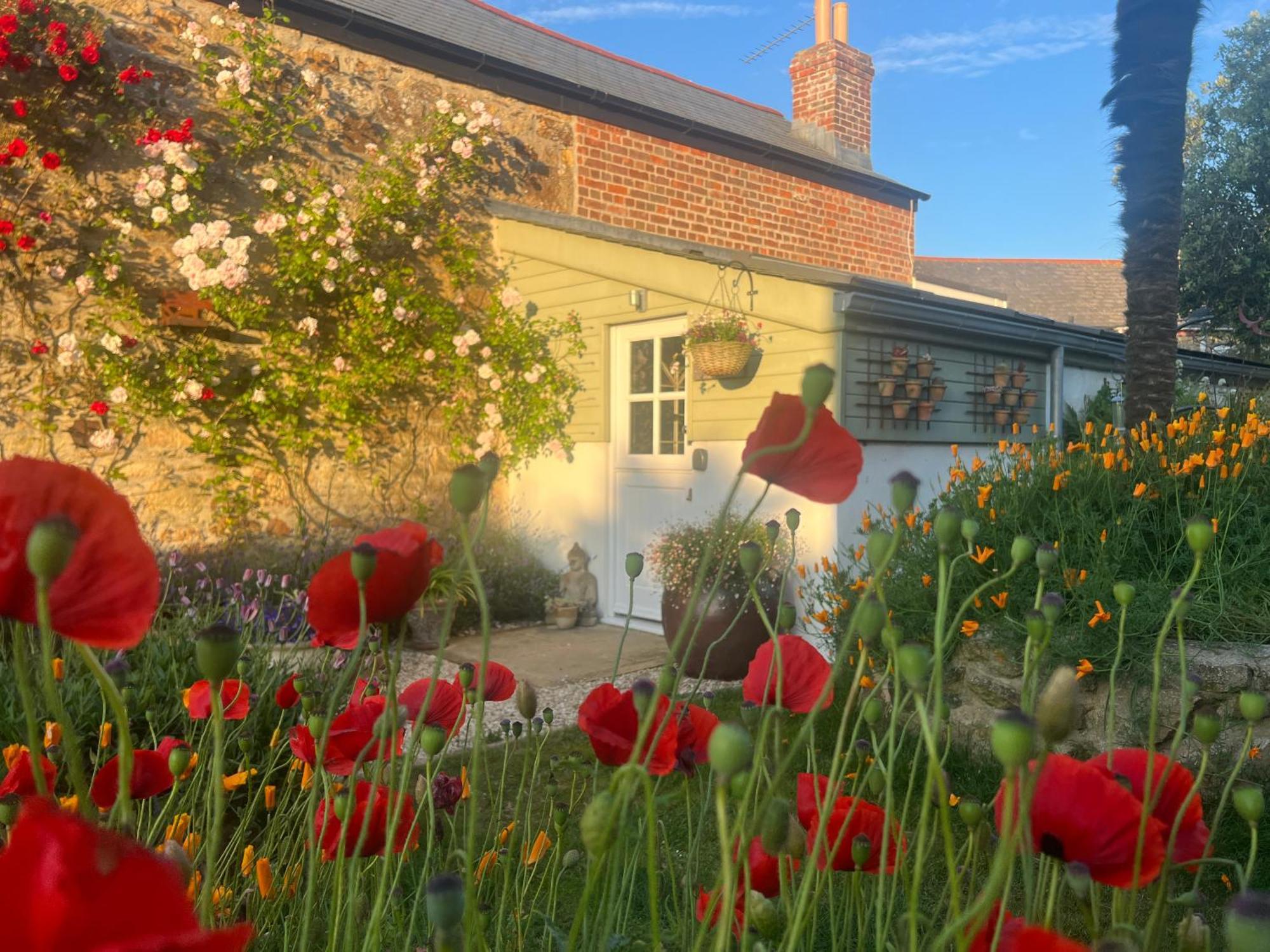 Penwyth House Bed and Breakfast New Quay Buitenkant foto